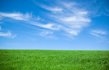 background of cloudy sky and grass