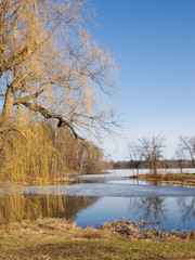 Fototapeta premium Spring Thaw