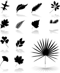 Set icons - 26. Leaves. Set of twelve vector icons