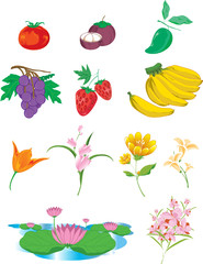 Group of fruits and vegetables