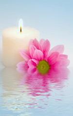 Flower and candle in water