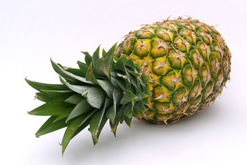 Ananas - pineapple 07