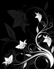 Wall murals Flowers black and white Floral abstraction