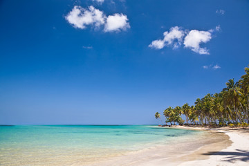 Fototapeta na wymiar Plaża Karaibów