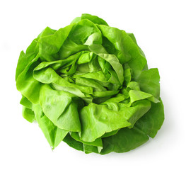 Lettuce perfect isolated on white background