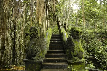 Fotobehang monkey forest ubud © Rostichep