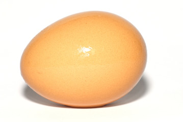 Close up of an Egg