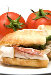 gourmet chicken sandwich