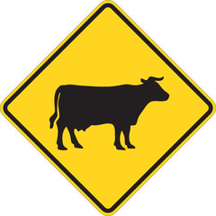 Cattle traffic warning on white