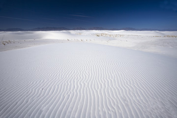 Fototapeta na wymiar 124 Tracks across the white sand