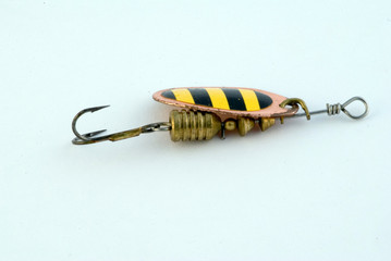 bait