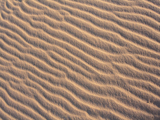Sand ripples