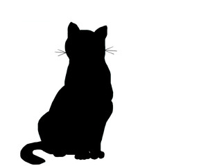 Cat silhouette