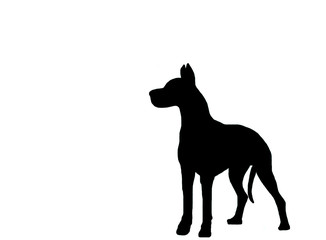 Dog Silhouette