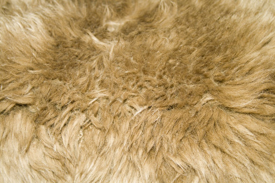 fur texture