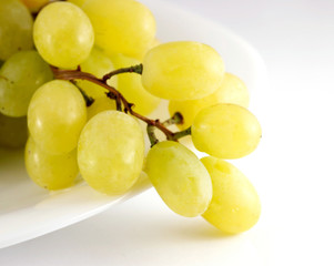 Bunch of white grapes