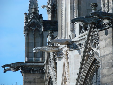 gargoyle