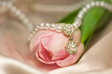 Pearl necklace and tulip