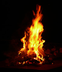 Fototapeta premium Fire