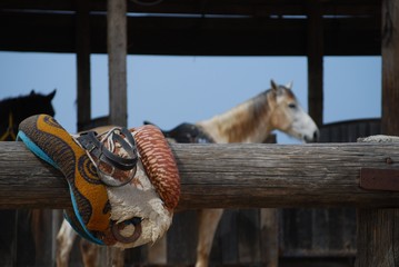 saddle for horse