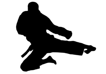 Karate jump
