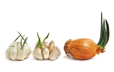 Bulbs of garlic and onion