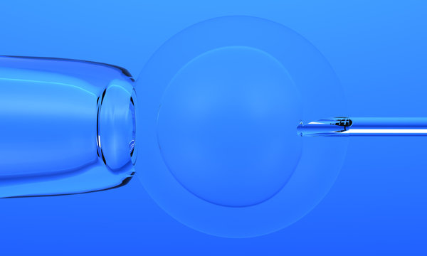 Befruchtung Images – Browse 25 Stock Photos, Vectors, and Video | Adobe