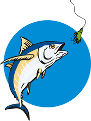 Albacore Tuna taking the bait