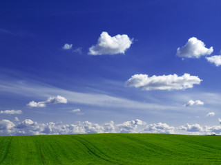 Green fields and blue sky