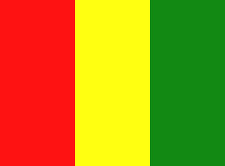 Obraz premium drapeau guinée