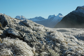 Milford Track landscape