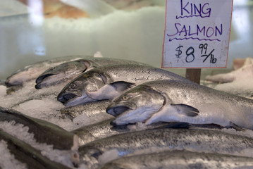 King Salmon on ice