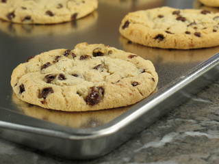 Hot Out of the Oven