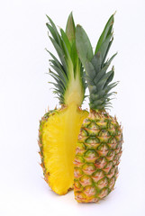 Ananas - pineapple 15