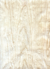 Close-up wooden HQ Birch texture to background