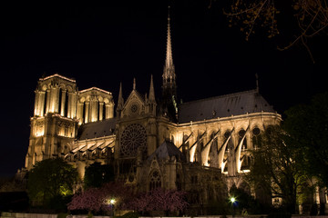 Fototapeta na wymiar Notre Dame w nocy