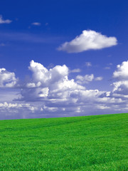 Green fields and cloudy blue sky