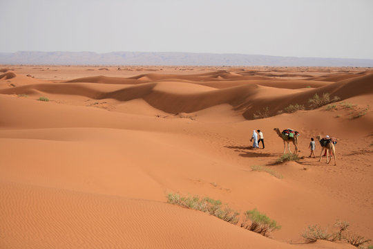 M&eacute;har&eacute;e dans le Sahara marocain