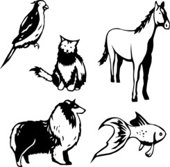 Five stylized vector illustrations of domesticated animals