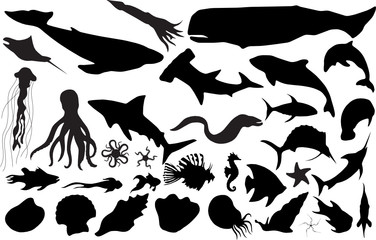 Fototapeta premium Marine life silhouettes (more detailed versions available)