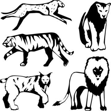 Five stylized illustrations of large cats