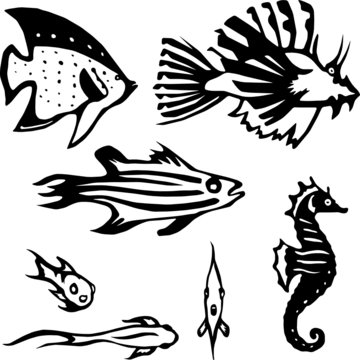 Stylized vector illustrations of several reef-dwelling fish