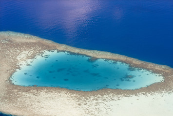 Obraz premium Coral reef