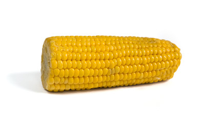 Corn cob on a white background