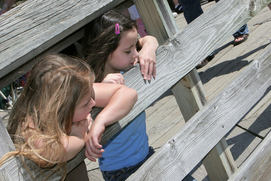 two young girls peeking through a fence