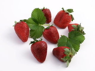 erdbeeren