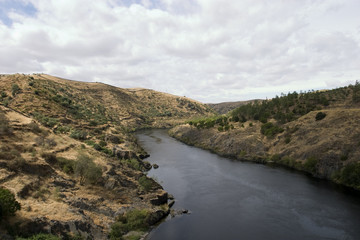 Obraz premium river