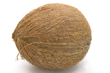 Coconut