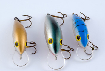 bait