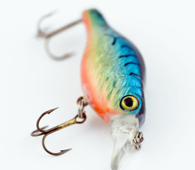 bait